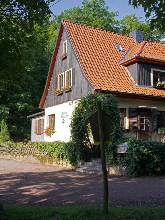 Saengerwiese Eisenach Habitación foto